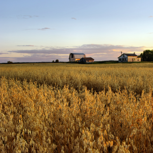 Alternative view of CÂU CHUYỆN VỀ DA