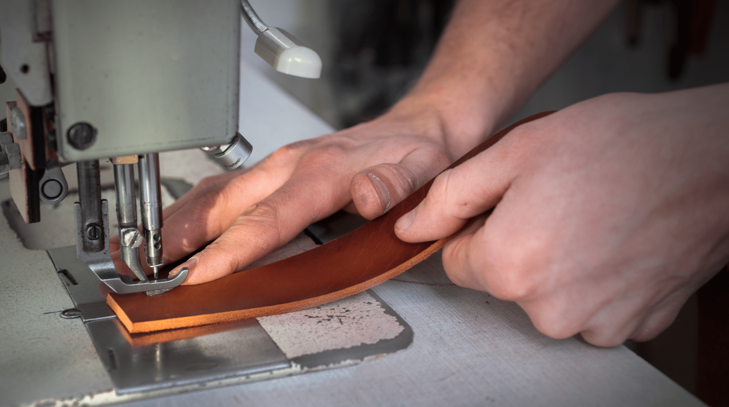 noi that da o to pellro 14 scaled