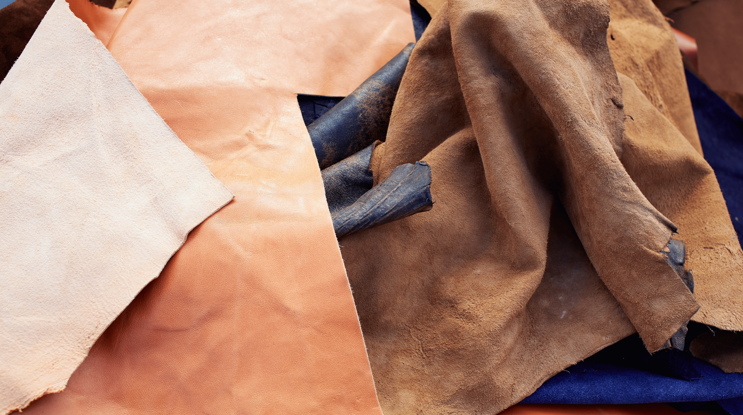 noi that da o to pellro 18 scaled