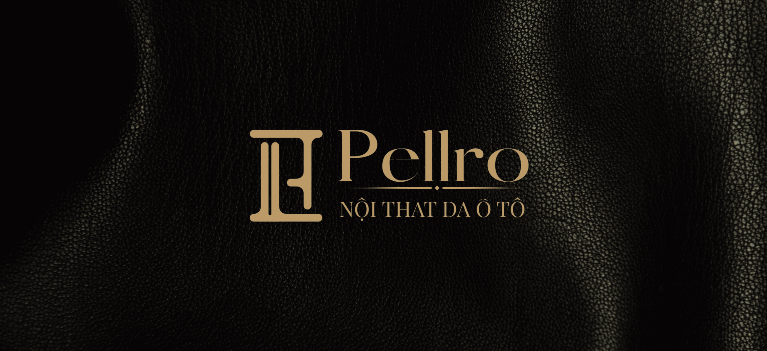 noi that da o to pellro 2 scaled