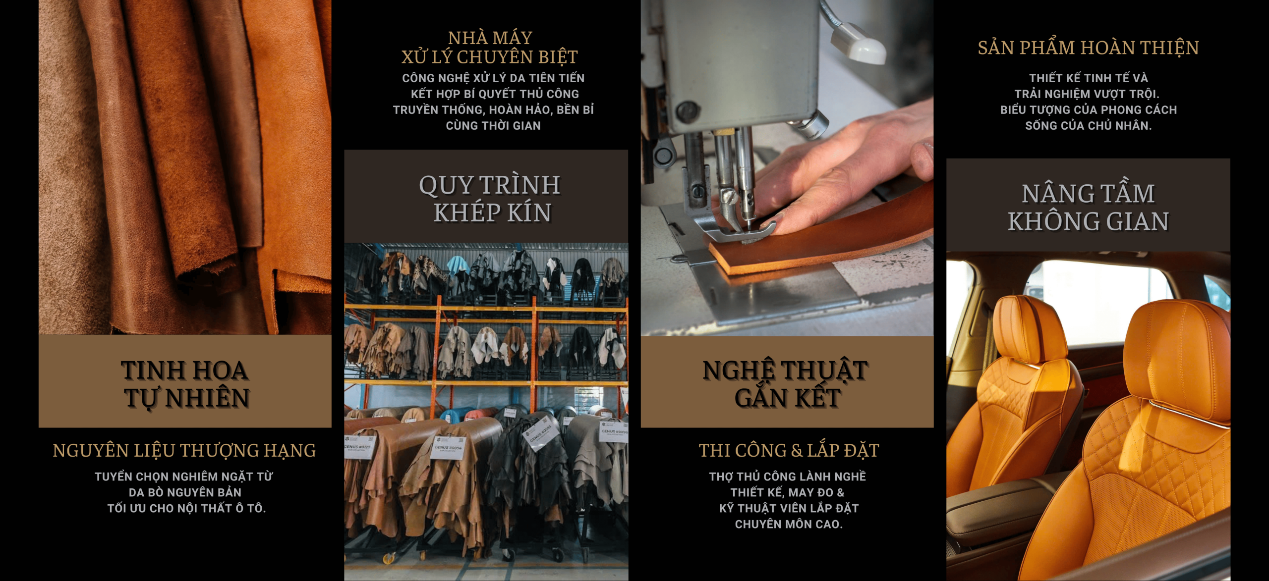 noi that da o to pellro 3 scaled