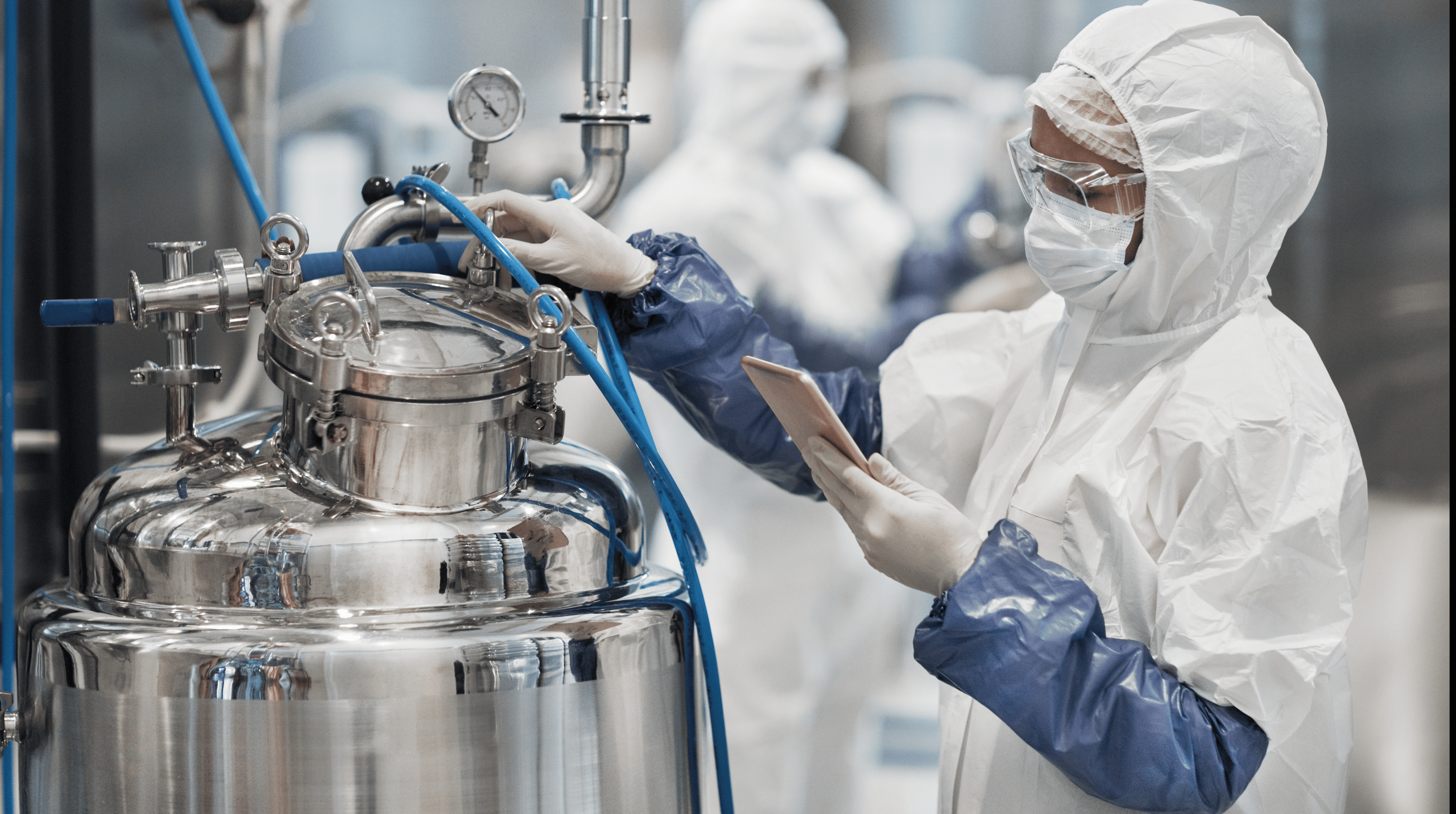 noi that da o to pellro 7 scaled